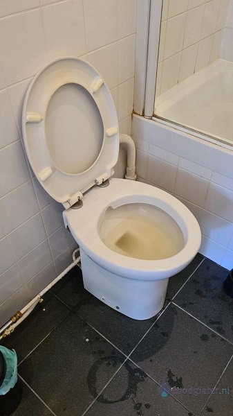  verstopping toilet Rijswijk
